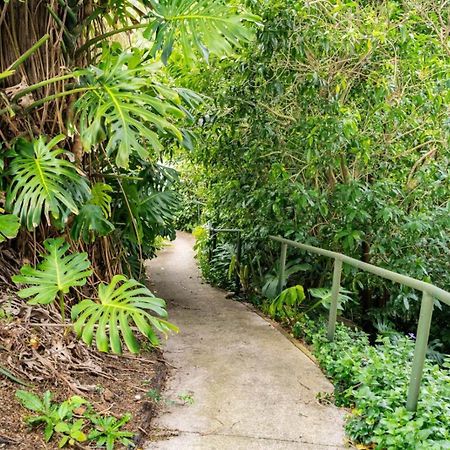 Hatea Treehouse Whangarei Exteriör bild