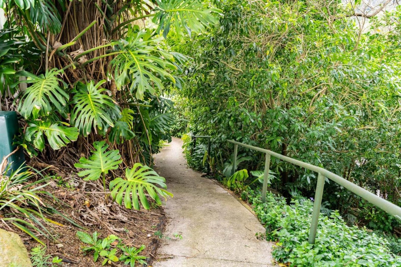Hatea Treehouse Whangarei Exteriör bild