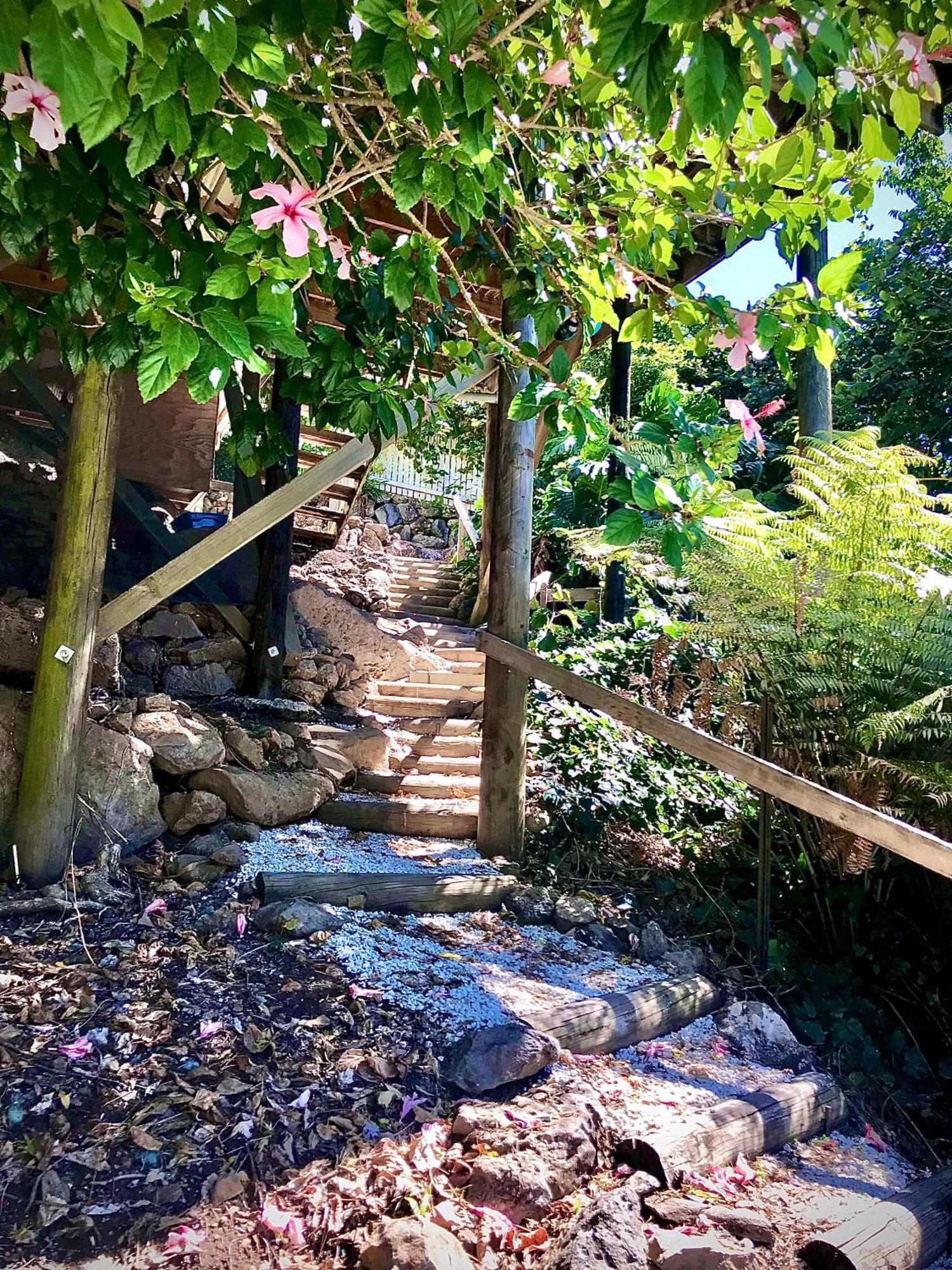 Hatea Treehouse Whangarei Exteriör bild
